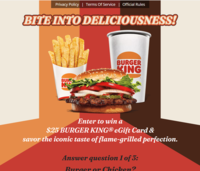 US|SOI|Everyday Burger King|All devices logo