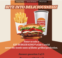 US|SOI|Everyday Winner Burger King|All Devices logo