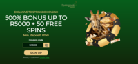 ZA|Springbok Casino|FB logo
