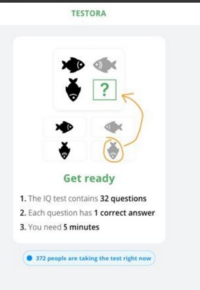 US CA AU UK DE FR|CC Submit|Testora Learning|All devices logo